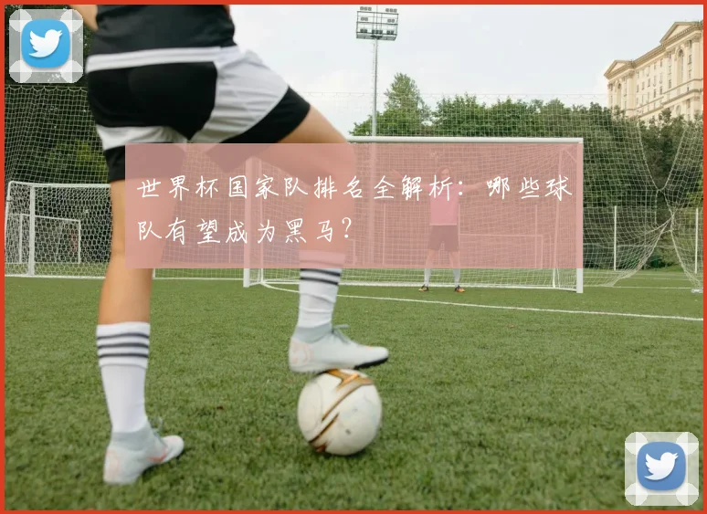 世界杯国家队排名全解析:哪些球队有望成为黑马?